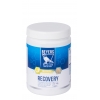 Beyers - Recovery - 600g (preparat białkowy) (termin ważności: 24.03.2024)
