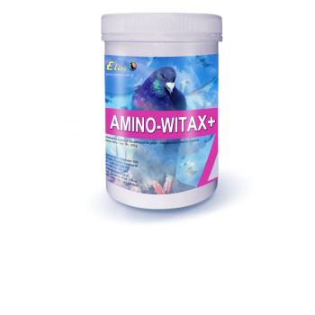 ELITA - Amino Witax - 500g (Preparat wysokobiałkowy, ułatwia regenerację mięśni oraz wzmacnia organizm)