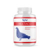 Fly Vet - Multiacid - 500ml (zakwaszacz)