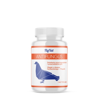 Fly Vet - Antifungus - 250ml (przeciwgrzybiczne i przeciwbakteryjne)