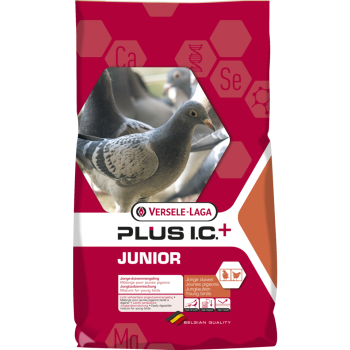 Versele Laga - Junior Plus - 20kg (lotowa dla młodych)